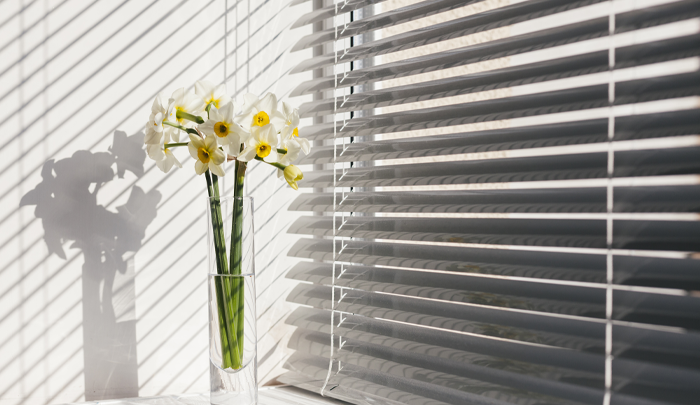 Aspire Blinds blog