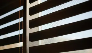 zebra blinds