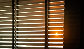 blackoutvssunscreenblinds