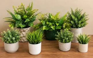 Are Fake Plants Tacky