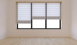 windowsblinds